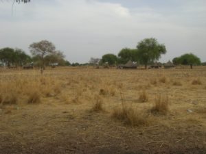 Tukals from the road